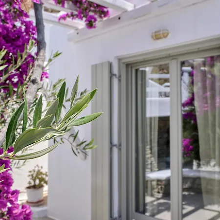 Paolas Sunset 4* Agios Stefanos (Mykonos)