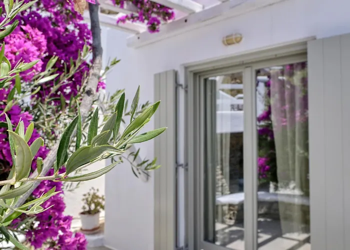 Paolas Sunset 4* אגיוס סטפנוס